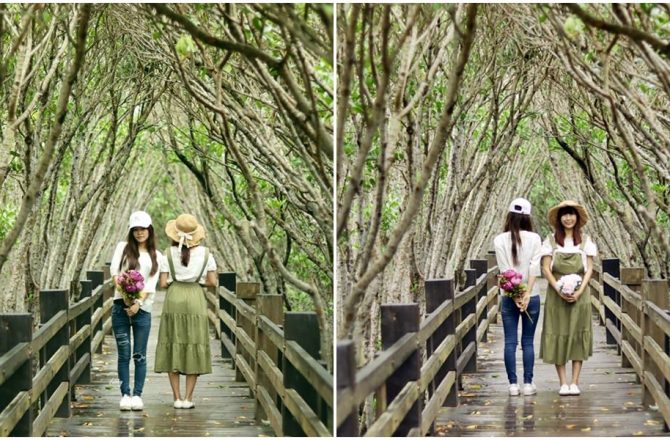 [新竹景點 新豐紅樹林]人像玩拍  漫步綠色水上隧道