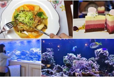 [新莊美食推薦］慕拉諾義式餐廳　新莊約會小秘境　熱帶魚珊瑚礁陪你用餐　義式風味料理　閨密聚餐好去處