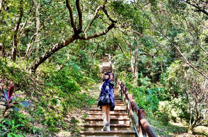 [台北 鶯歌石步道]穿越過原始況味林徑  充滿仙氣的森林系步道