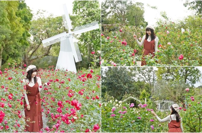 苗栗三義景點[雅聞香草植物工廠]，「免費入園」的仙氣景點，被滿滿玫瑰包圍，餐點咖啡表現優秀。