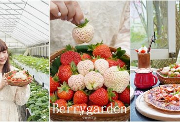 台北內湖│莓圃休閒農園，可以採草莓的森林系餐廳，免預約免門票，冬季最浪漫行程。