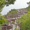 台北景點│ 碧山露營場步道，隱身露營場的S型森林系天空步道，宛如漫步在雲端，與台北101同框。