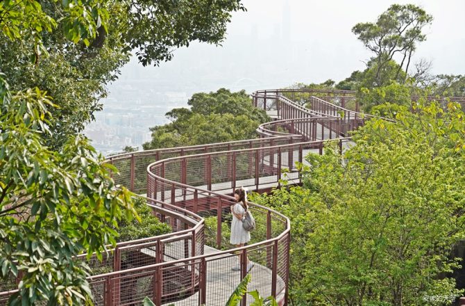 台北景點│ 碧山露營場步道，隱身露營場的S型森林系天空步道，宛如漫步在雲端，與台北101同框。