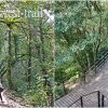 2024台北16條療癒系森林步道│ 置身步道秘境，享受芬多精洗禮，最治癒森林旅程，完整交通資訊。