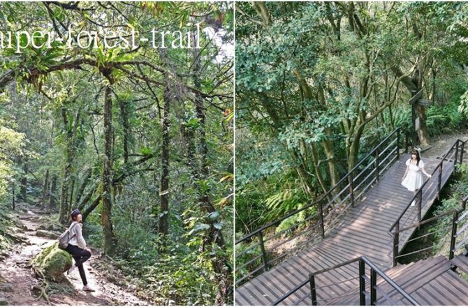2024台北16條療癒系森林步道│ 置身步道秘境，享受芬多精洗禮，最治癒森林旅程，完整交通資訊。