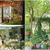 桃園美食「光源62咖啡」，城市裡的花草系夢幻花園咖啡館，包裹光的鄉村小屋，提供咖啡、簡餐，療癒系多肉植物園區。