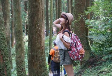 [北台灣森林系景點]走吧~~來當一日森林系女孩